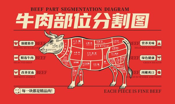 牛肉分解圖