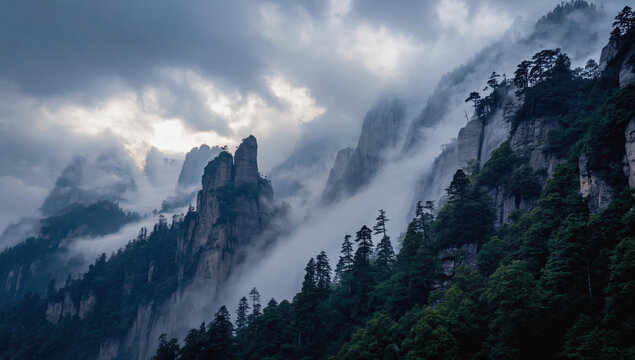 云霧繚繞的山峰和茂密森林