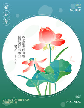 荷花矢量插畫