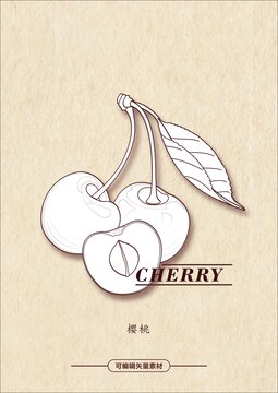 cherry車厘子