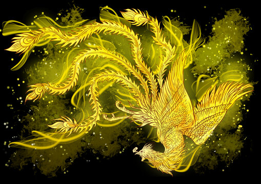 火鳳凰插畫(huà)