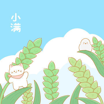 小滿插畫(huà)