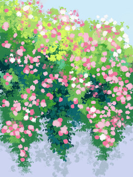 浪漫薔薇花墻
