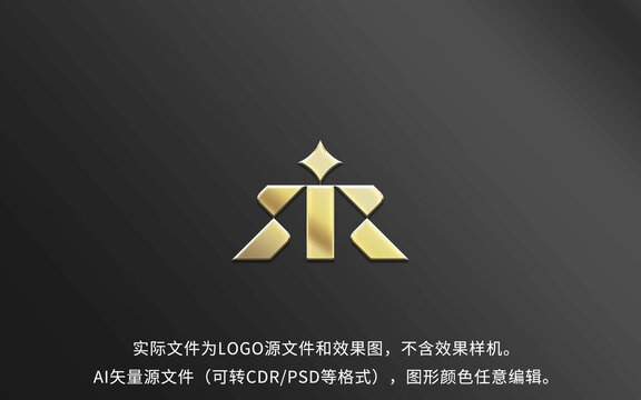 R字母LOGO標(biāo)志設(shè)計(jì)