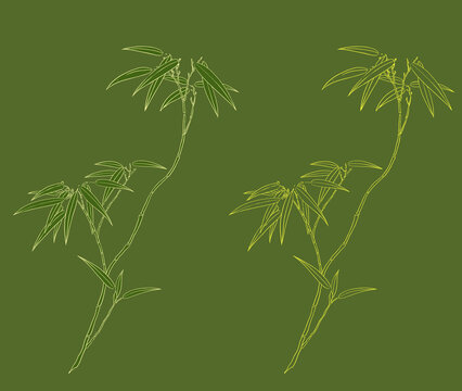 手繪竹子