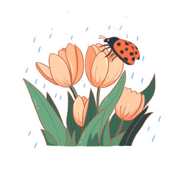 手繪卡通立春春雨昆蟲免摳元素