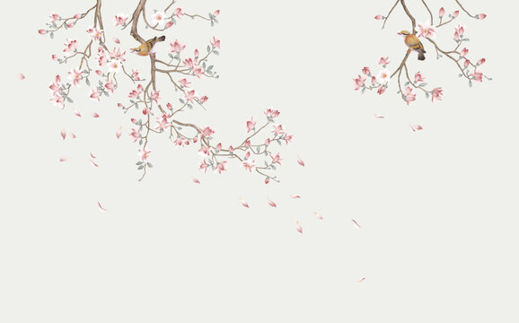 粉色玉蘭