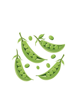 矢量蔬菜豌豆