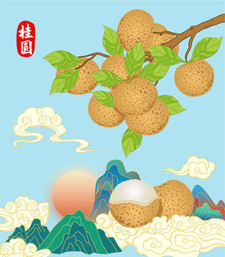 桂圓包裝插畫