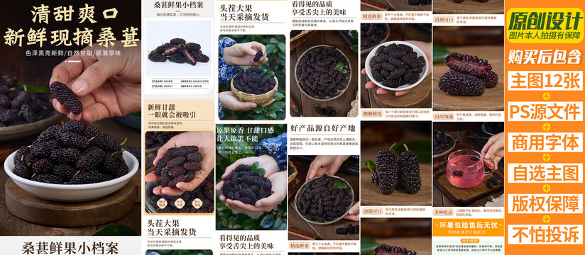 桑葚詳情頁(yè)
