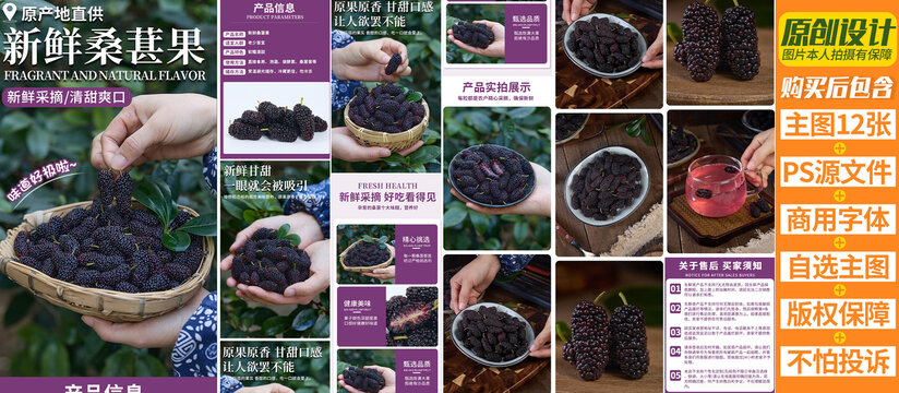 新鮮桑葚詳情頁