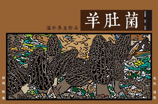 羊肚菌包裝