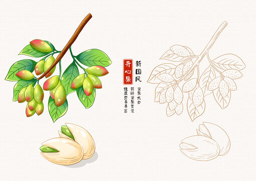 開心果插畫白描