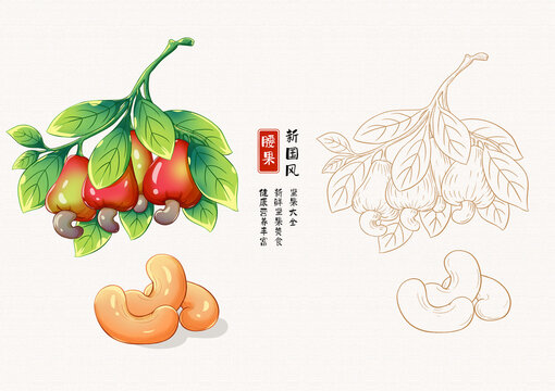 腰果插畫白描