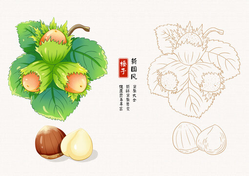 榛子插畫白描