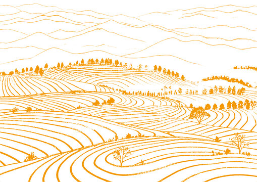 茶山茶園插圖版畫素描底紋包裝矢量圖