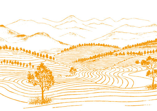 茶山茶園插圖版畫素描底紋包裝矢量圖