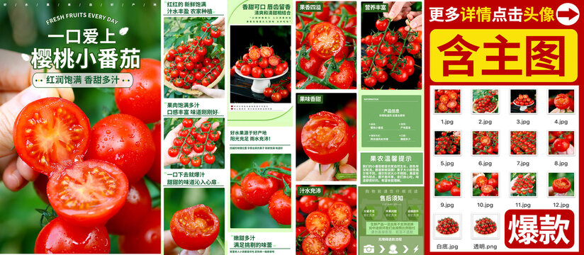 櫻桃小番茄詳情