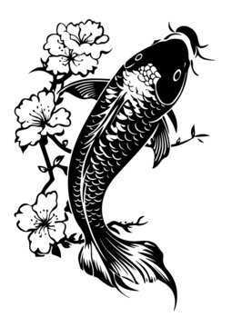 錦鯉