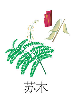 蘇木