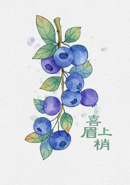 藍(lán)莓
