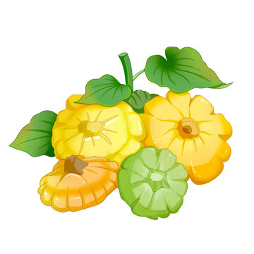 蔬菜飛碟瓜
