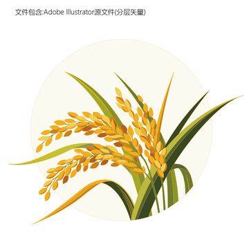 原創(chuàng)水稻稻谷插畫設(shè)計(jì)元素