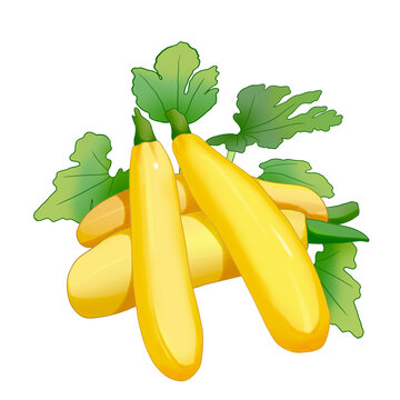 蔬菜香蕉西葫蘆