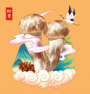 松茸插畫手繪