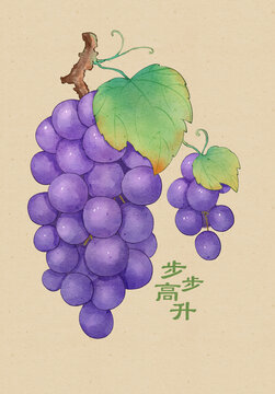 葡萄
