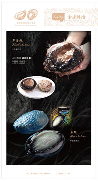 黑金鮑藍鮑