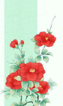 山茶花