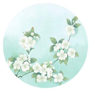 梨花