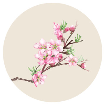 國風國潮插畫桃花