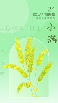 二十四節(jié)氣小滿(mǎn)插畫(huà)海報(bào)