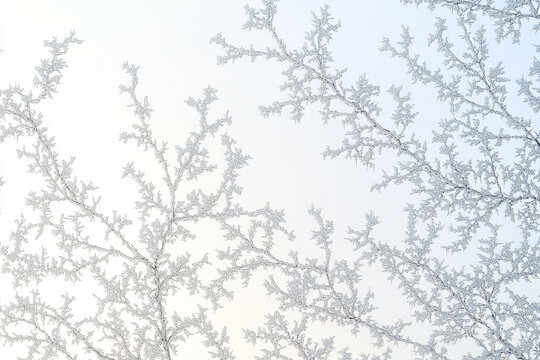 冰霜枝椏的冬季圖案