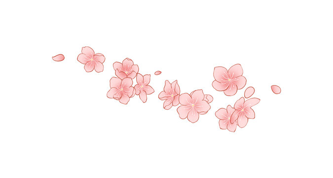 桃花花瓣素材