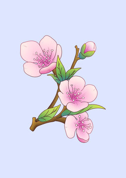 三月里桃花朵朵開