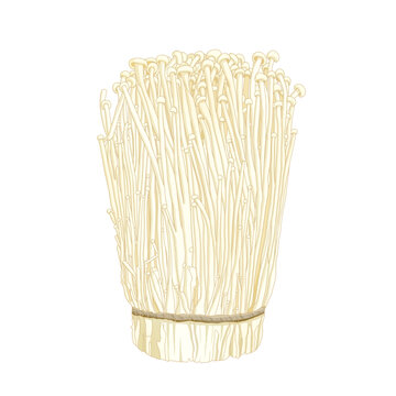 金針菇