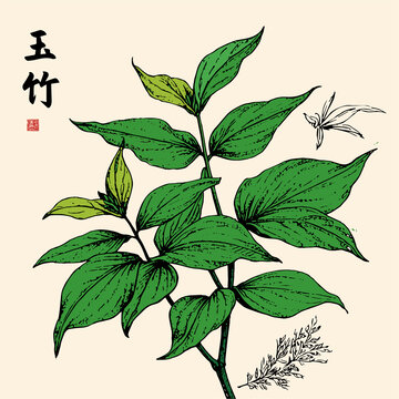 玉竹
