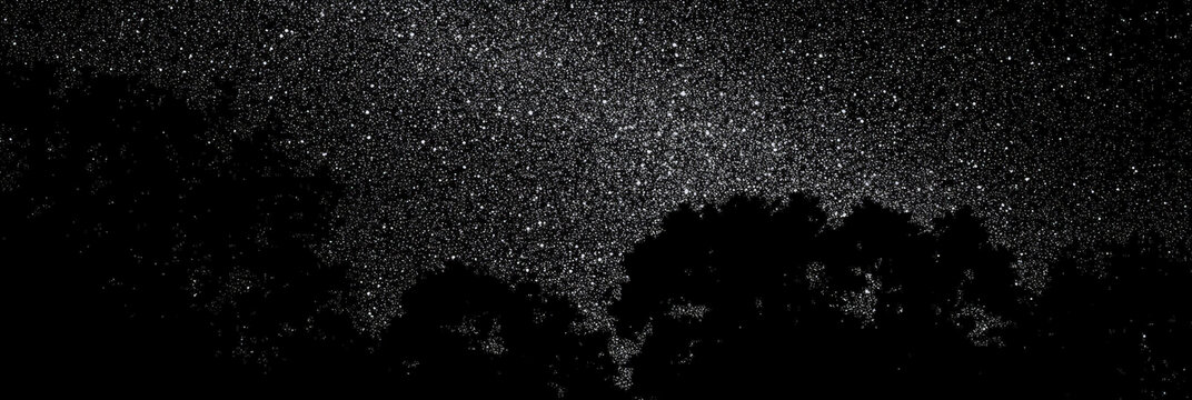 夜空中樹(shù)影