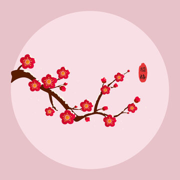 雪中臘梅