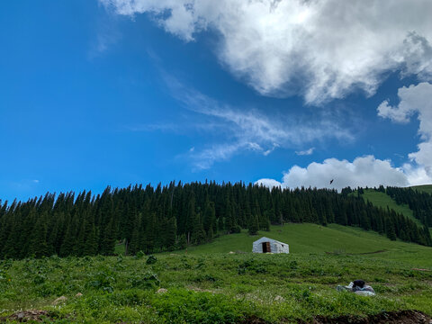 中國新疆伊犁那拉提草原旅游風光