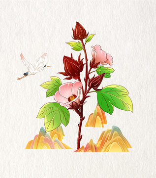 洛神花插畫