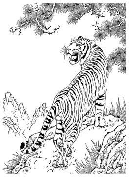 上山虎矢量圖