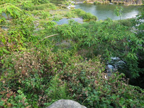 中國貴州安順黃果樹瀑布旅游風光