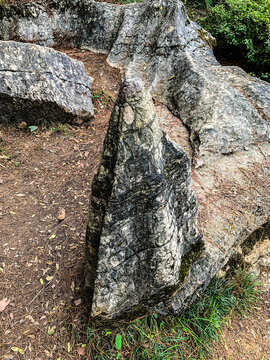 中國湖北恩施梭布埡石林旅游風光