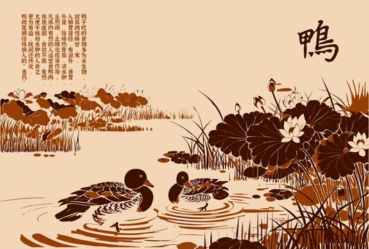鴨子國潮背景插畫