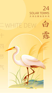 二十四節(jié)氣白露插畫海報(bào)