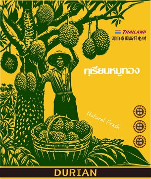 榴蓮包裝插畫(huà)
